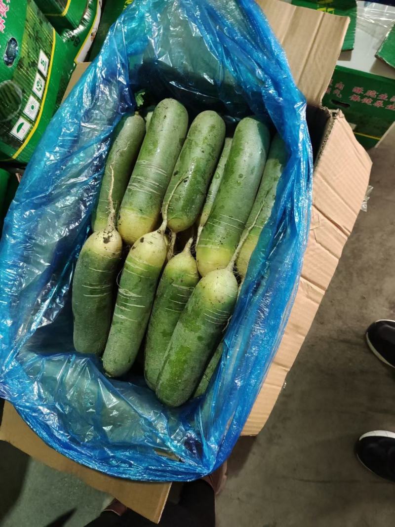 出售水果萝卜