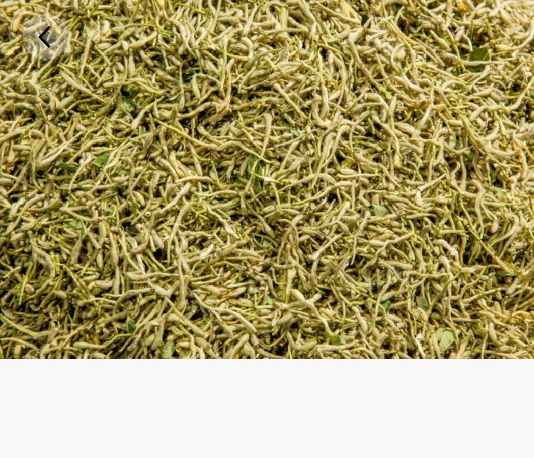 高清微距拍摄的金银花干品与野菊花干品并列展示,左侧为卷曲状的金银花蕾,呈淡黄色至灰白色;右侧为小型球状野菊花头,颜色为深黄褐色,花瓣细密紧凑。背景为木质托盘,旁边配有中药秤和棉麻布巾,体现传统中药材的自然质感 金银花与野菊花干燥花材特写