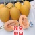 凤金6号哈密瓜黄金6号万亩基地专业供应网纹瓜北海一号