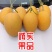 凤金6号哈密瓜黄金6号万亩基地专业供应网纹瓜北海一号