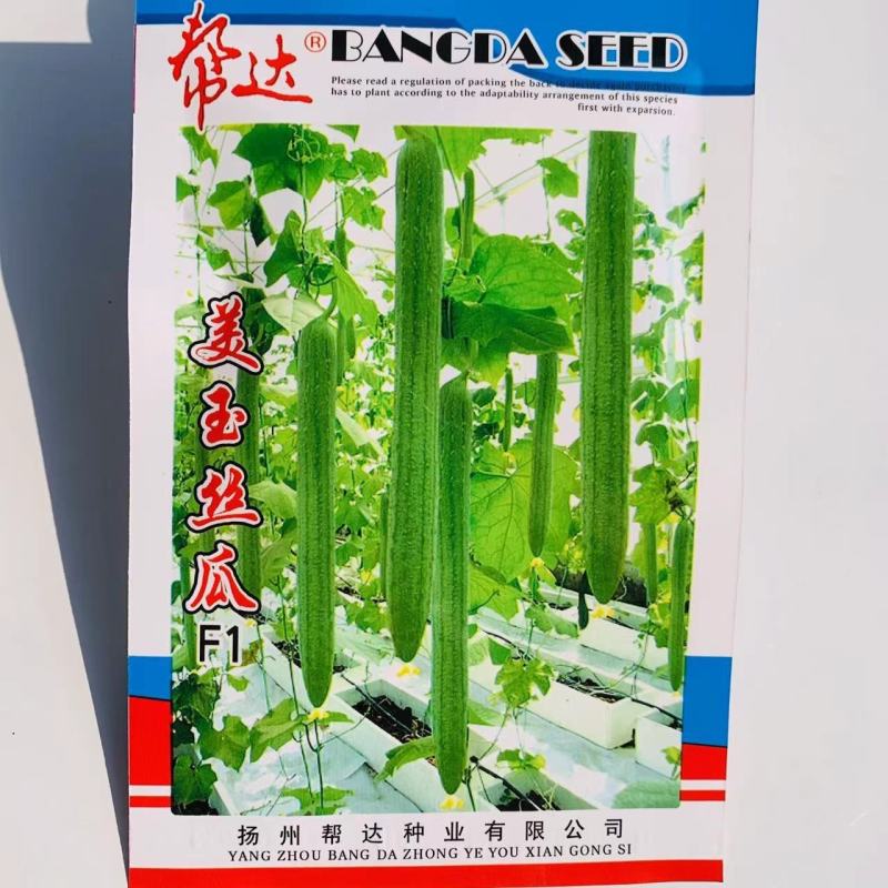 帮达美玉丝瓜种子早熟性好瓜条顺直特长丝瓜种子耐运输