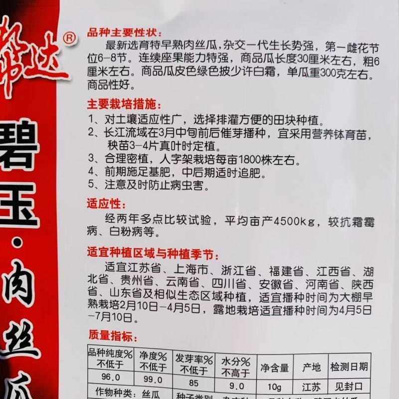 帮达碧玉肉丝瓜种子抗病丰产特早熟肉丝瓜，连续座果能力特强