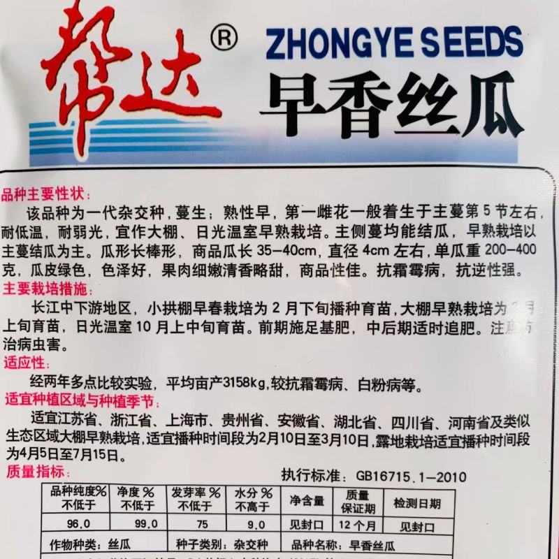 帮达早香丝瓜种子耐低温耐弱光一代杂交长条丝瓜种子抗病