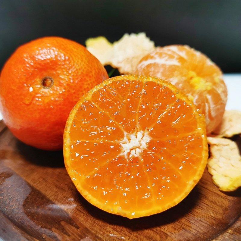 默科特柑橘产地看货论价保质保量欢迎订购