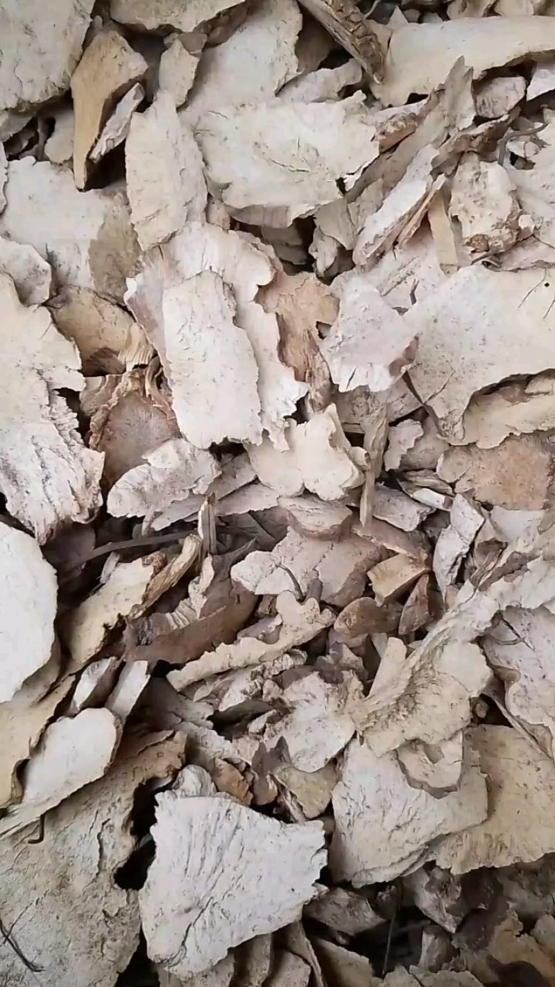 [精品]云南红土茯苓，肉质块根，利润极低，量少匆扰