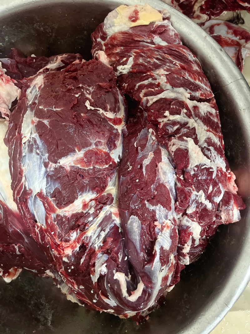 吉林梅花鹿鹿肉每天屠宰保证新鲜一手货源产地直销
