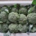 精品西蓝花,颜色好,个头不大,根子小,商超品质供货量大