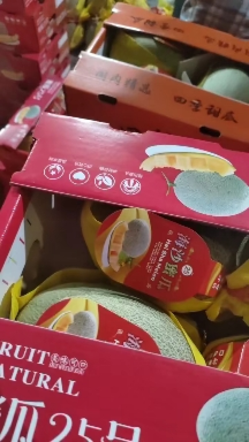 海南哈密瓜25号优质精品，海沙地，网纹等，香甜可口，