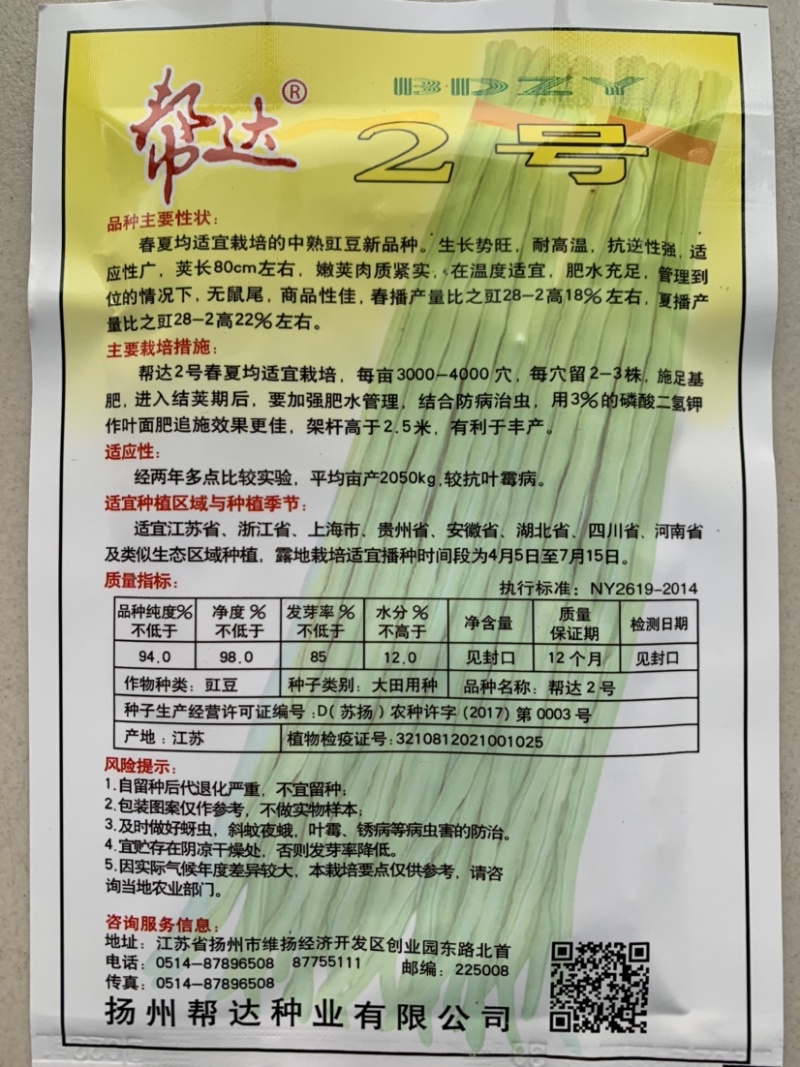 帮达地豇无架豇豆品种肉厚质嫩不易老耐贮运抗逆强