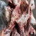 带肉后腿骨
