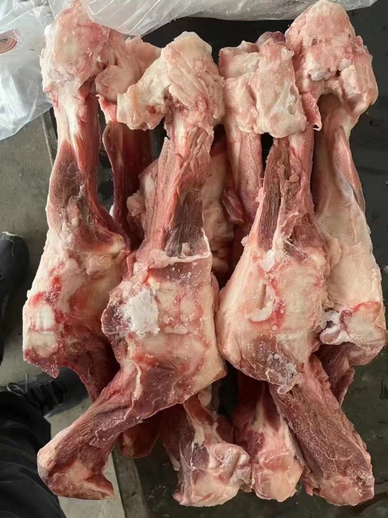 带肉后腿骨