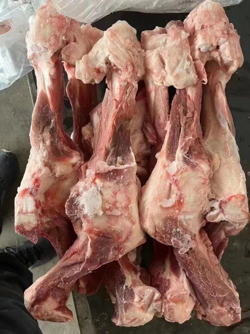 带肉后腿骨