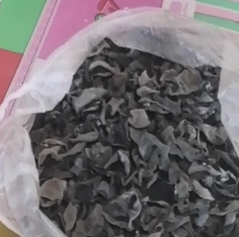 东北纯正秋木耳特写图:自然光下高清微距拍摄,展现干燥未泡发的整朵秋木耳,耳片卷曲厚实、表面油润乌黑带细微霜斑,背面覆盖均匀灰白色绒毛,背景为原木纹理与枯叶,体现山野本真 东北纯正秋木耳特写图:自然光下高清微距拍摄,展现干燥未泡发的整朵秋木耳,耳片卷曲厚实、表面油润乌黑带细微霜斑,背面覆盖均匀灰白色绒毛,背景为原木纹理与枯叶,体现山野本真