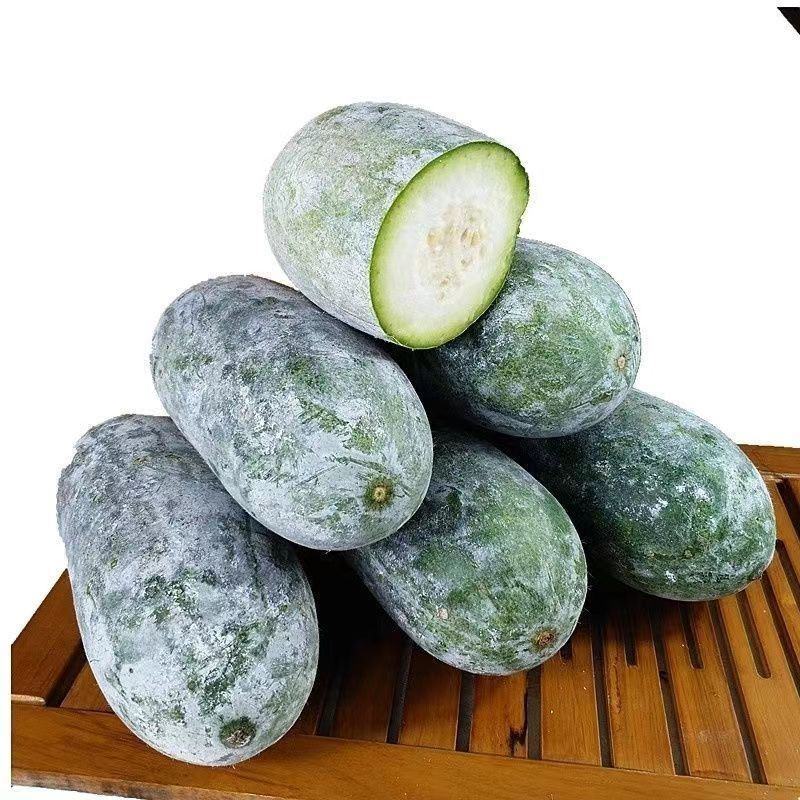 黑皮冬瓜苗白皮冬瓜苗嫁接苗水果冬瓜苗包回收免费技术指导