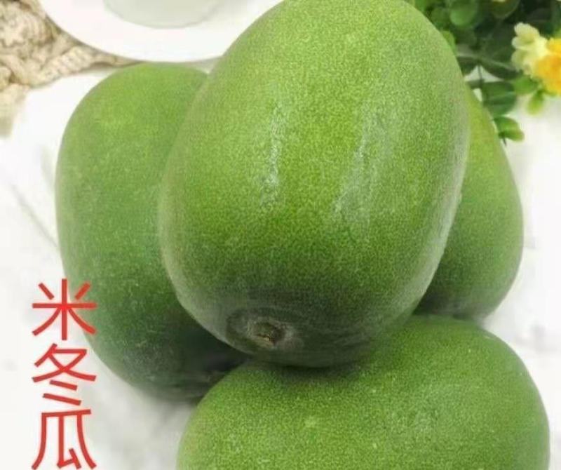 米冬瓜苗粉皮冬瓜苗翡翠冬瓜苗直播嫁接苗免费技术指导包回收