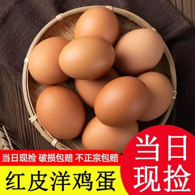 鸡蛋
