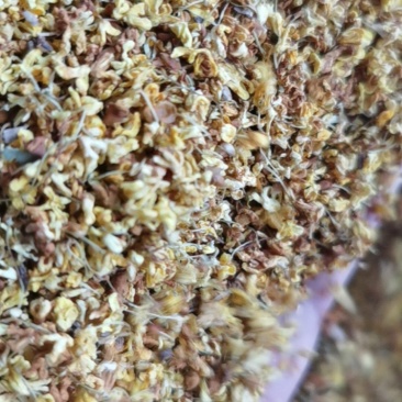 桂花茶花果茶桂花茶优选原材料果香浓郁货源充足
