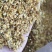 桂花茶花果茶桂花茶优选原材料果香浓郁货源充足