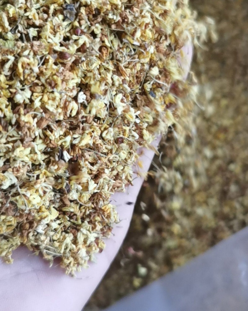 桂花茶花果茶桂花茶优选原材料果香浓郁货源充足