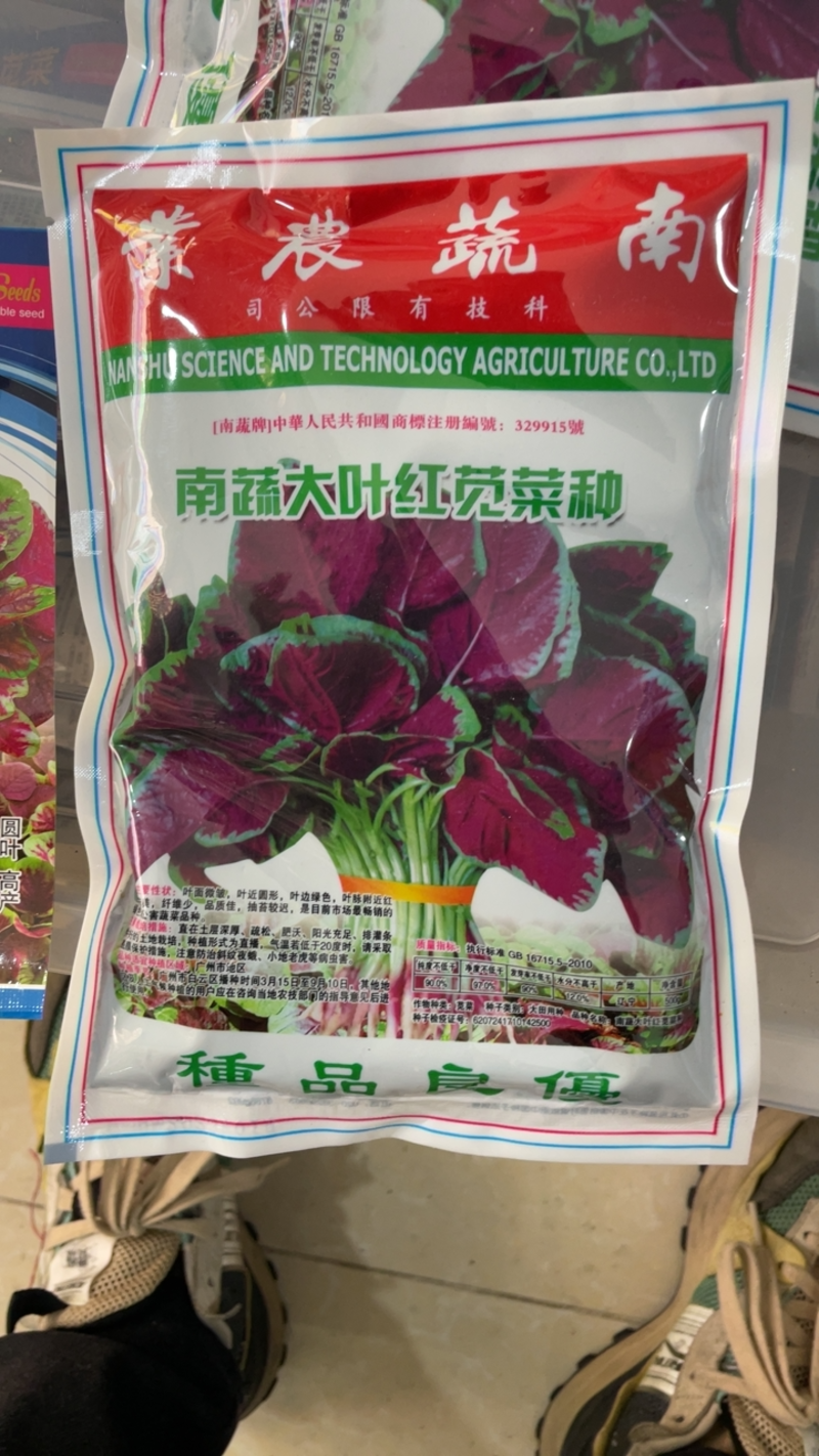 大叶红苋菜种子、500克叶面微皱、生长速度快、耐热、
