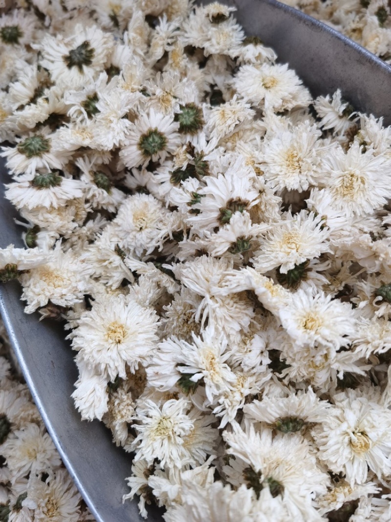 黄山贡菊优质黄山贡菊花茶精选货源质量保障