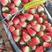 【精品】山东草莓基地妙香草莓一手货源对接电商市场批发