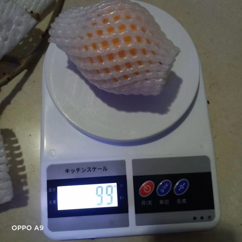 云南高原蒙自枇杷