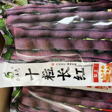 优质十粒长红四季豆红玉架豆大籽袍架豆种子四季种子