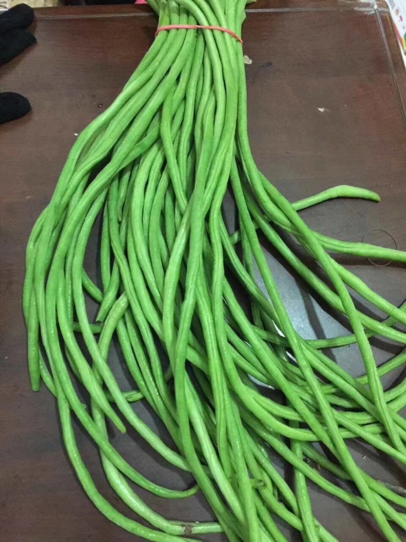 产地直发脆绿色厚肉型耐热豇豆种子品质保证