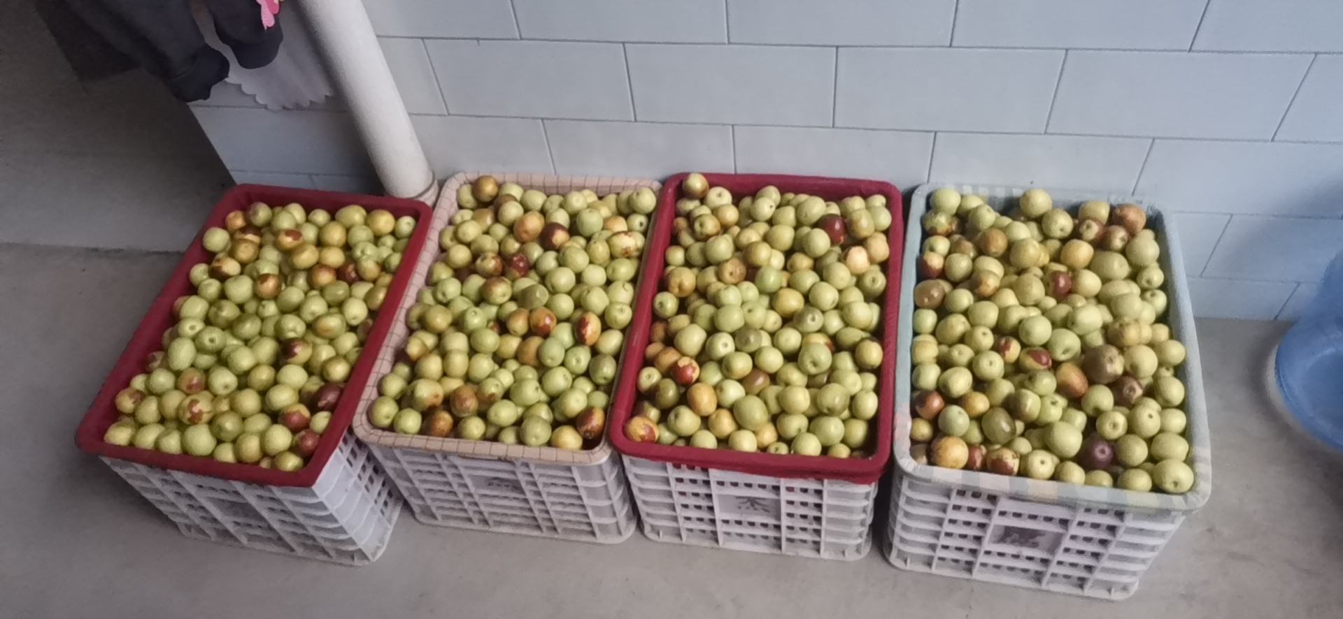 米枣礼盒与销售渠道展示图