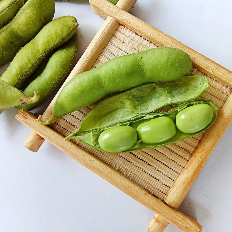 精品毛豆，优质毛豆，大量上市产地发货，供应各大商超市场全国
