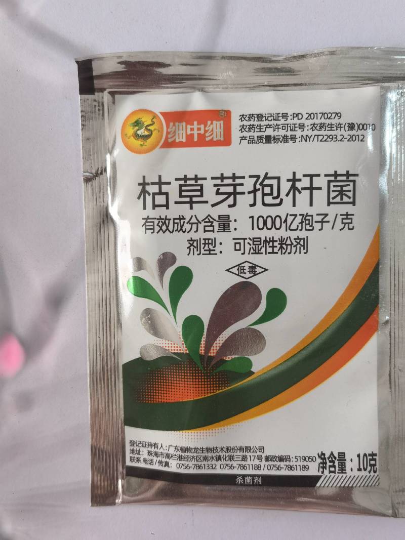 细中细枯草芽孢杆菌微生物菌剂大白菜软腐病