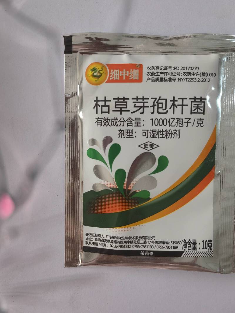细中细枯草芽孢杆菌微生物菌剂大白菜软腐病