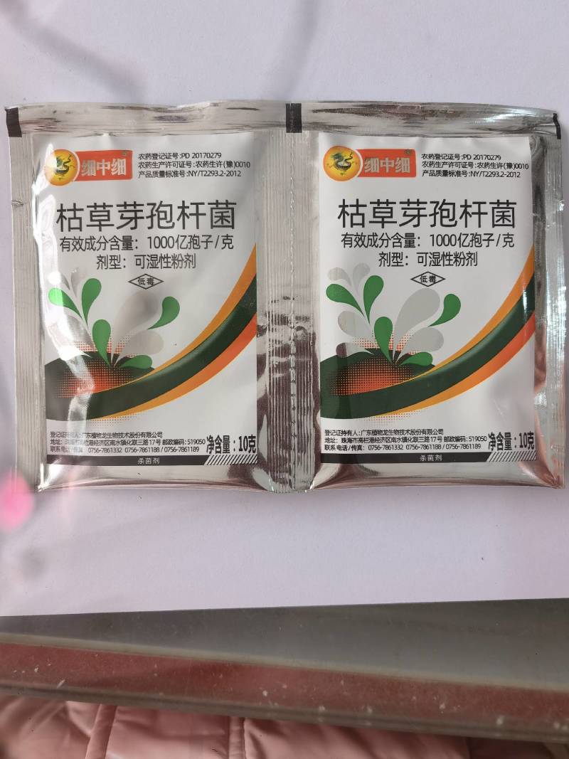 细中细枯草芽孢杆菌微生物菌剂大白菜软腐病