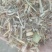 (推荐)优质黄白花生秧揉丝除膜小草段，都是揉丝除膜小草