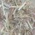 (推荐)优质黄白花生秧揉丝除膜小草段，都是揉丝除膜小草