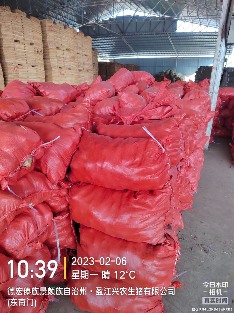 云南精品白土豆大量批发量大从优，欢迎来电咨询