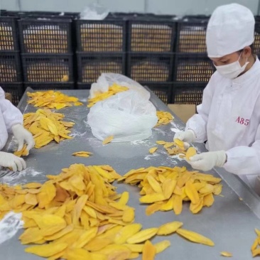 新货香甜芒果干水果干果脯蜜饯泰国风味即食果干芒果干片