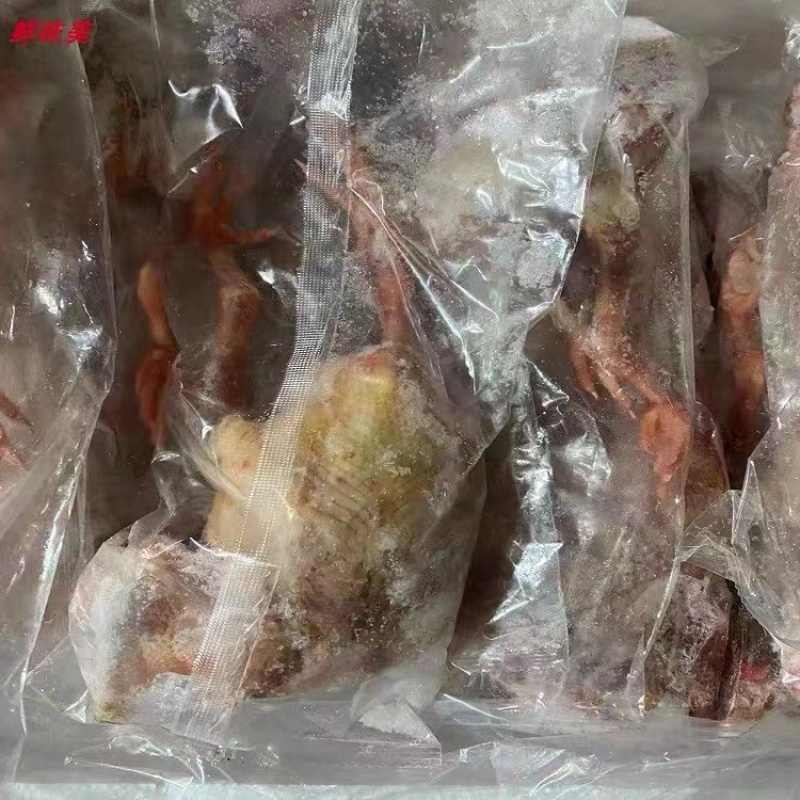 乳鸽肉白条乳鸽老鸽子工厂直发常年供应质量保证规格齐全