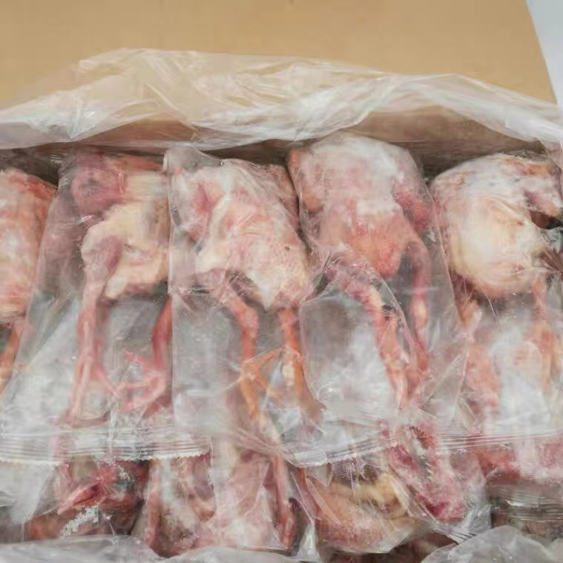 乳鸽肉白条乳鸽老鸽子工厂直发常年供应质量保证规格齐全