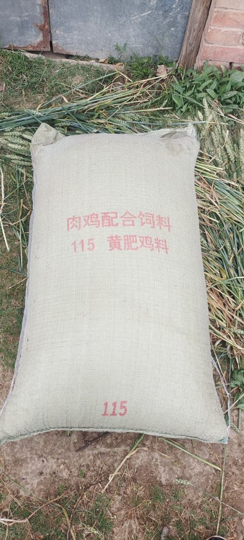 稻壳鸡粪谷壳鸡粪常年供销一手货源