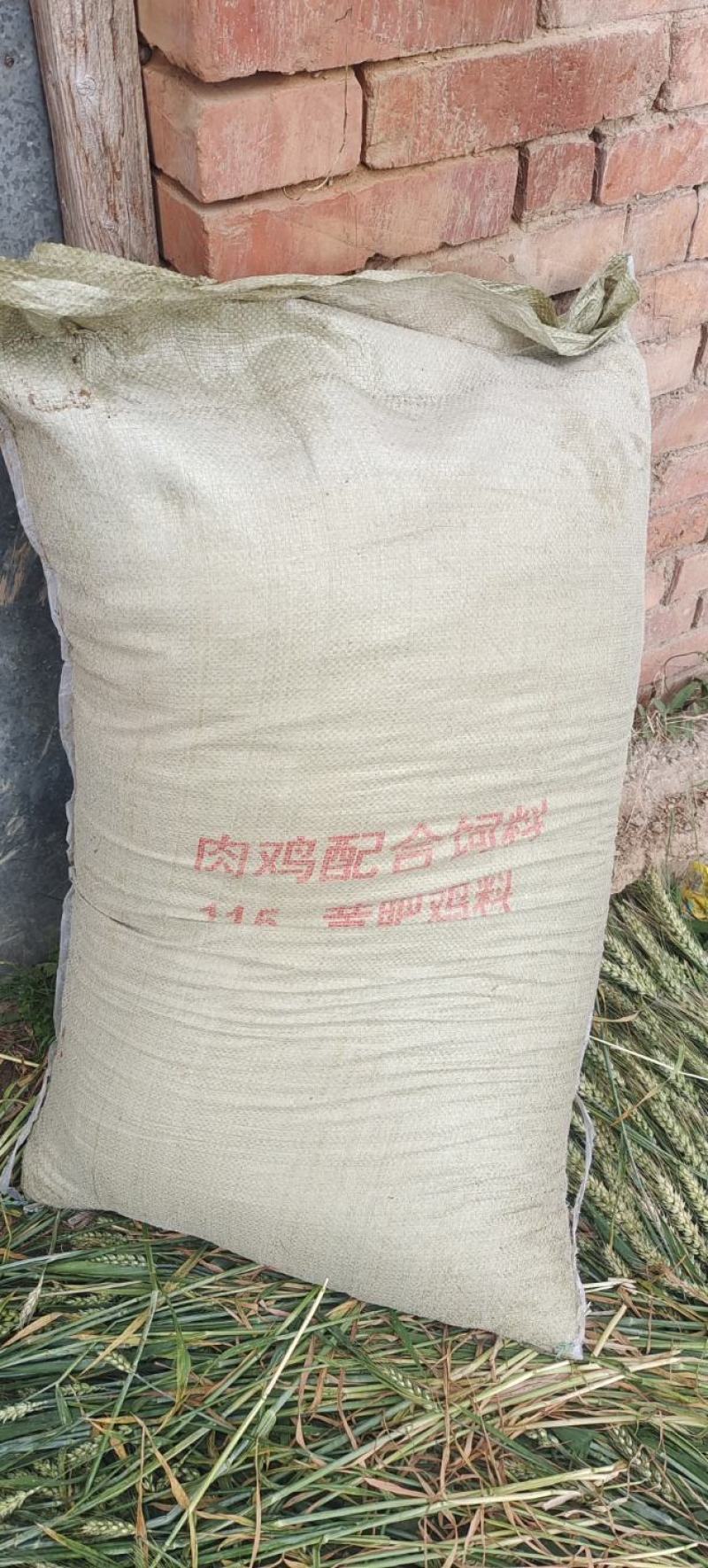 稻壳鸡粪谷壳鸡粪常年供销一手货源