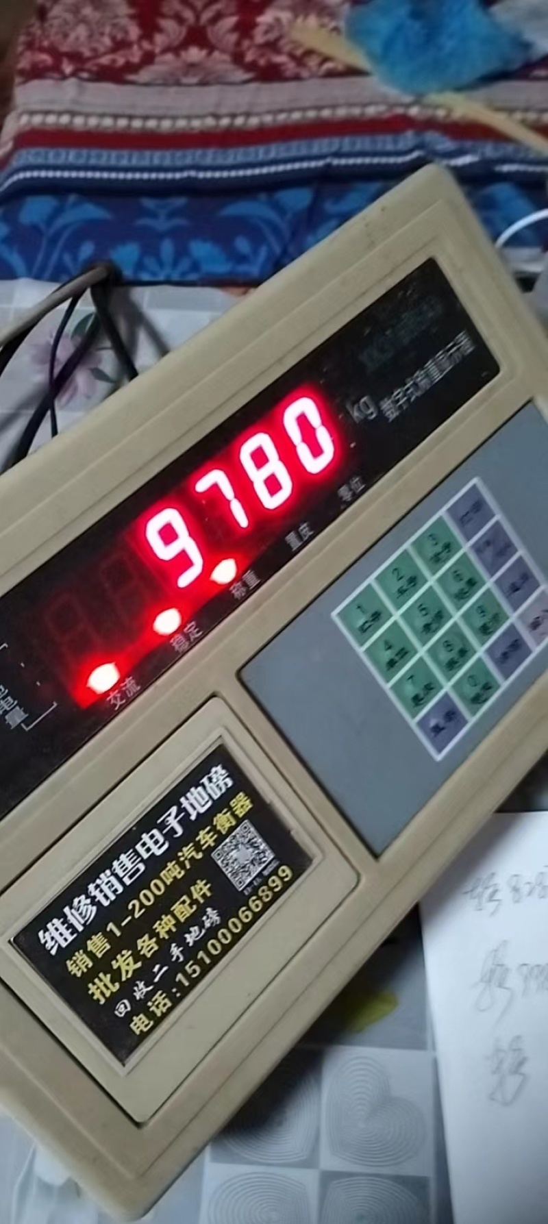 红皮菊芋红皮鬼子姜洋姜干洋姜片菊芋种