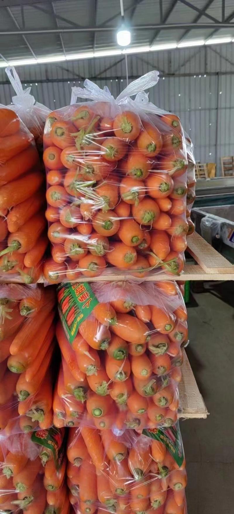 胡萝卜，水洗萝卜供量特大，货源充足对接电商平台销售各市场