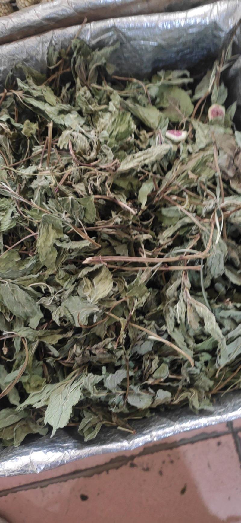 薄荷叶干货薄荷叶泡水级别欢迎选购！量大从优！