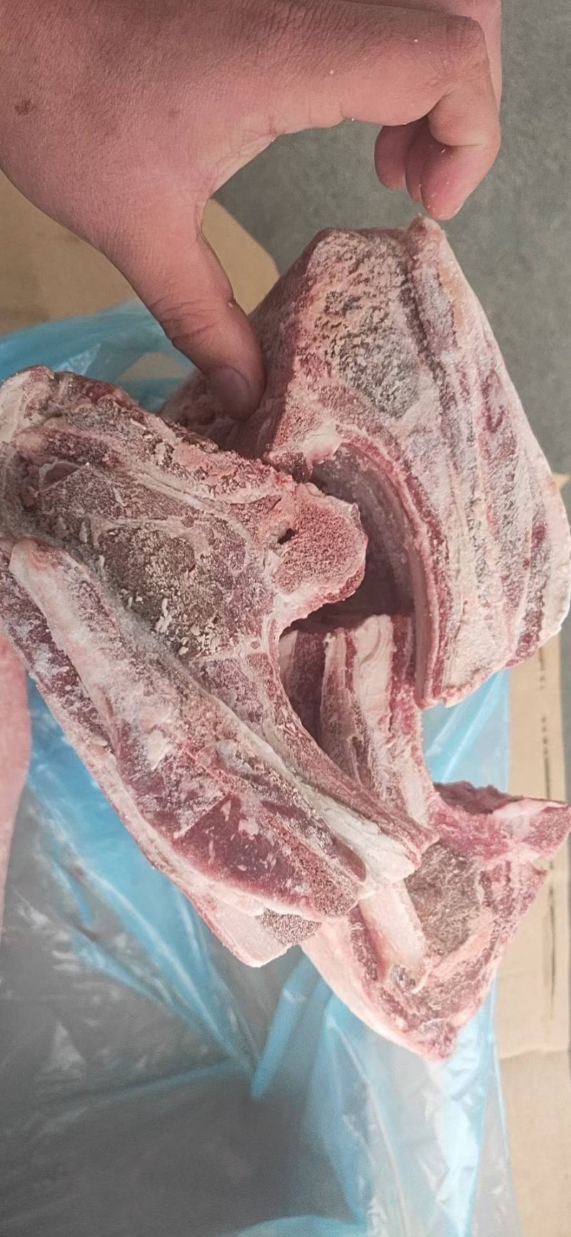羊腰脊排