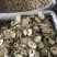 苦瓜片干货苦瓜片泡水级别欢迎选购！量大从优！