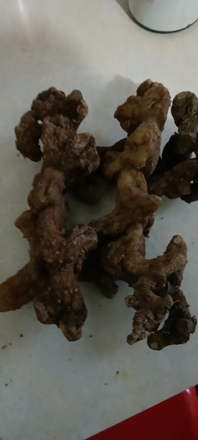 野生多花甜黄精