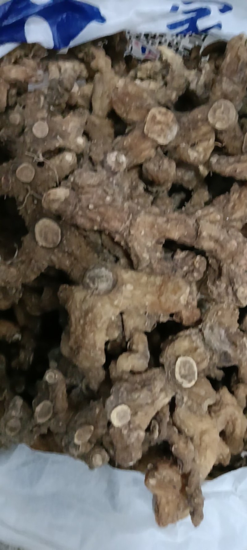 野生多花甜黄精