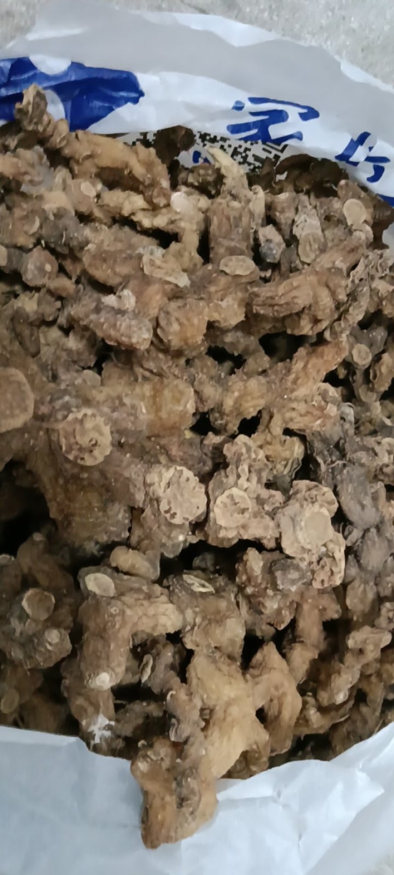 野生多花甜黄精